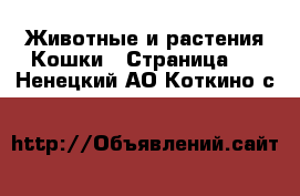 Животные и растения Кошки - Страница 2 . Ненецкий АО,Коткино с.